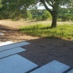 Mothership stepping stones