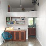 Willow Studio 0
